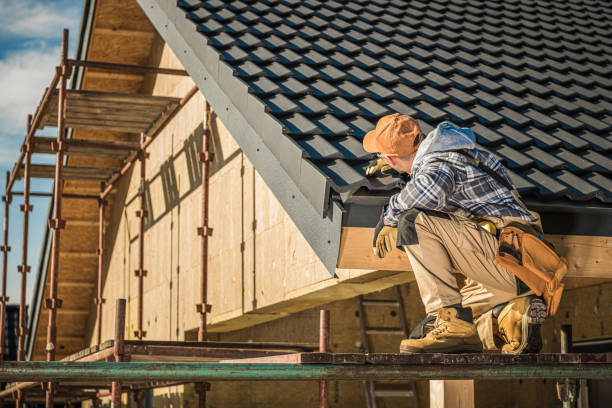Best Roof Repair Services  in Newark, IL