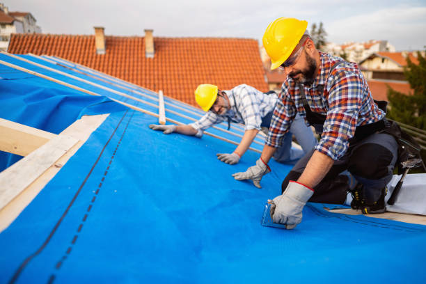 Gutter Installation and Roofing in Newark, IL
