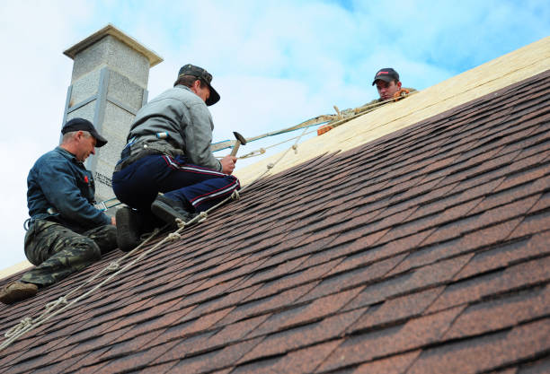 Quick and Trustworthy Emergency Roof Repair Services in Newark, IL